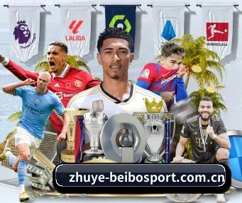 zhuye-beibosport.com.cn APP